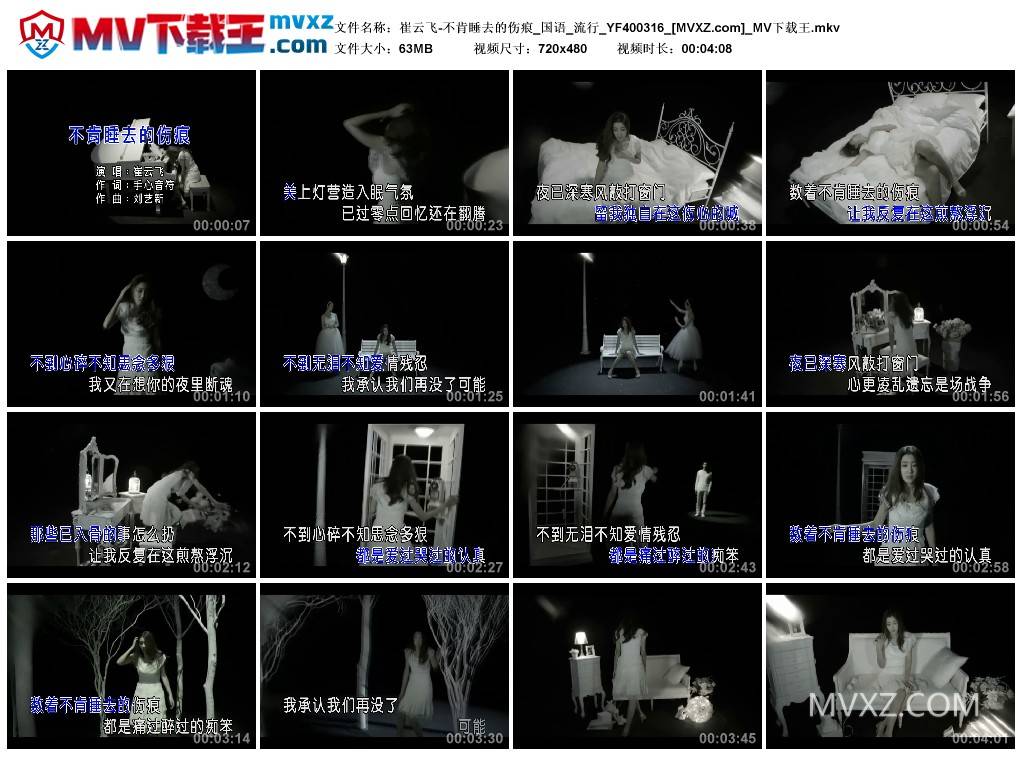 崔云飞-不肯睡去的伤痕_国语_流行_YF400316